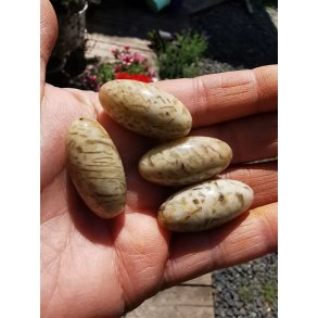 Skrift Granit - Zebradorit Lommesten - Shiva Lingam Poleret