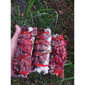 Smudge - Hvid Salvie med Rd Eucalyptus  - 30-35g