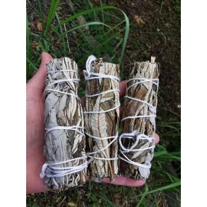 Smudge -  Yerba Santa - 25-30g
